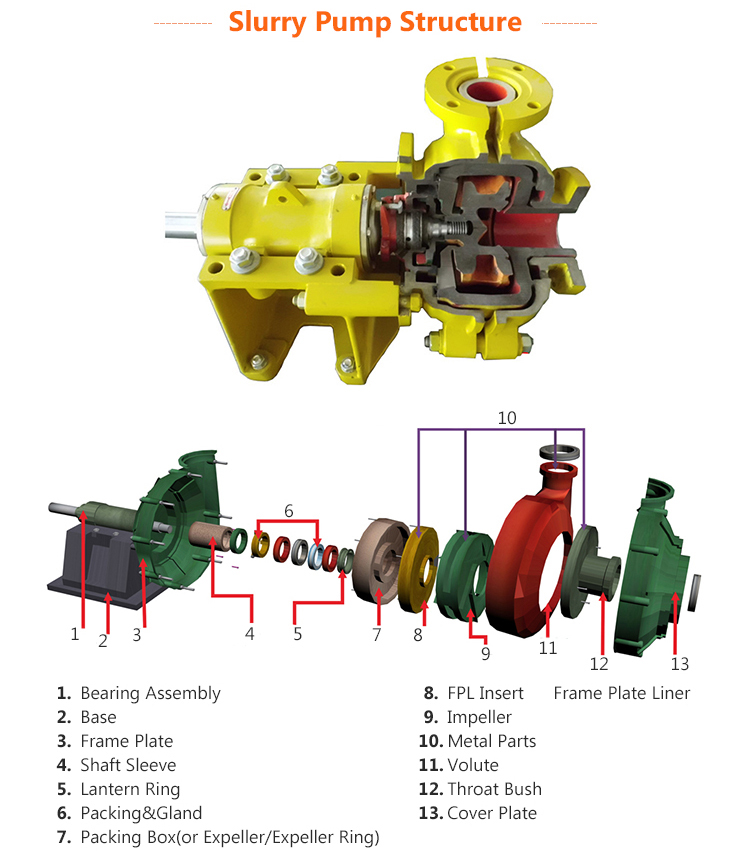 ZE961 - Cast Iron Rotary Pump with Hose (1 Gallon Per 13 Revolutions)