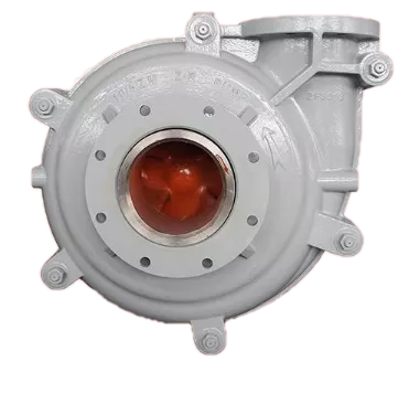 ZM Series Middle Duty Sludge and Slurry Pump